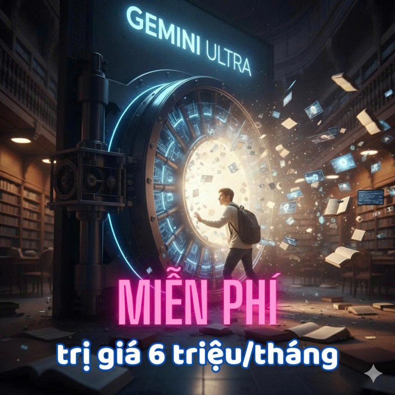 hinhanh