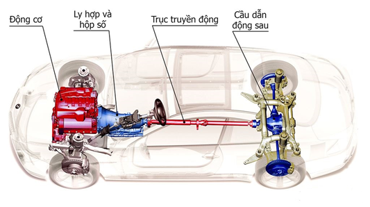 hinhanh